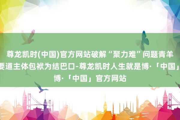 尊龙凯时(中国)官方网站破解“聚力难”问题青羊区以明确要道主体包袱为结巴口-尊龙凯时人生就是博·「中国」官方网站