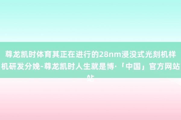 尊龙凯时体育其正在进行的28nm浸没式光刻机样机研发分娩-尊龙凯时人生就是博·「中国」官方网站