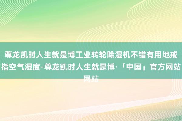 尊龙凯时人生就是博工业转轮除湿机不错有用地戒指空气湿度-尊龙凯时人生就是博·「中国」官方网站