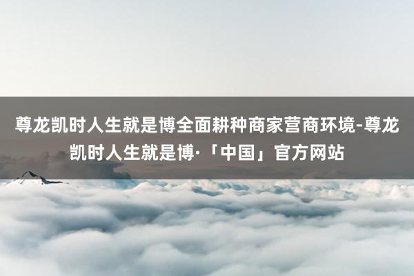 尊龙凯时人生就是博全面耕种商家营商环境-尊龙凯时人生就是博·「中国」官方网站