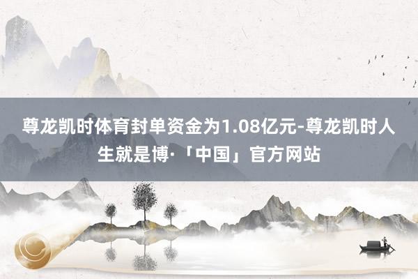 尊龙凯时体育封单资金为1.08亿元-尊龙凯时人生就是博·「中国」官方网站