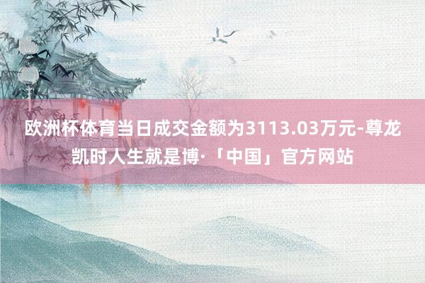 欧洲杯体育当日成交金额为3113.03万元-尊龙凯时人生就是博·「中国」官方网站