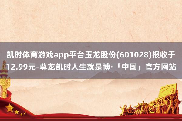 凯时体育游戏app平台玉龙股份(601028)报收于12.99元-尊龙凯时人生就是博·「中国」官方网站