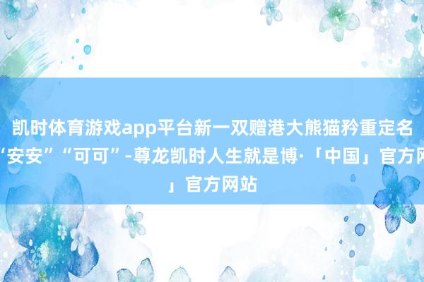 凯时体育游戏app平台新一双赠港大熊猫矜重定名为“安安”“可可”-尊龙凯时人生就是博·「中国」官方网站