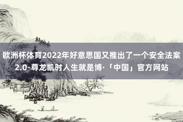 欧洲杯体育2022年好意思国又推出了一个安全法案2.0-尊龙凯时人生就是博·「中国」官方网站