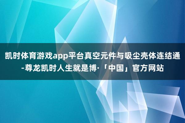 凯时体育游戏app平台真空元件与吸尘壳体连结通-尊龙凯时人生就是博·「中国」官方网站