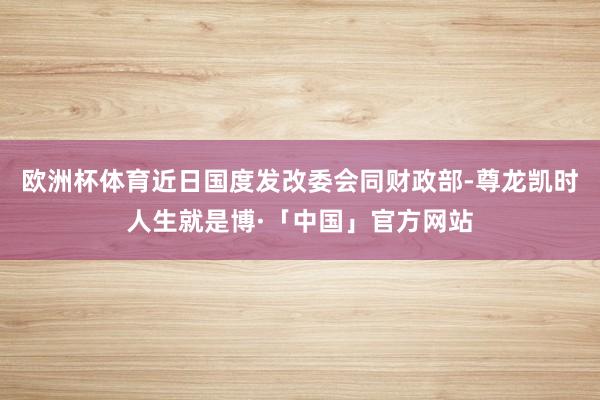 欧洲杯体育近日国度发改委会同财政部-尊龙凯时人生就是博·「中国」官方网站