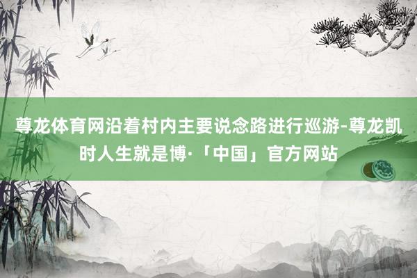 尊龙体育网沿着村内主要说念路进行巡游-尊龙凯时人生就是博·「中国」官方网站