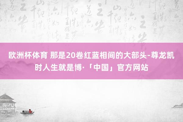 欧洲杯体育 那是20卷红蓝相间的大部头-尊龙凯时人生就是博·「中国」官方网站